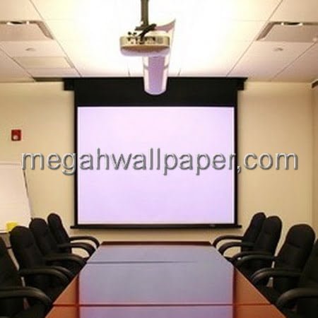 SHARP POINT PROJECTOR SCREEN
