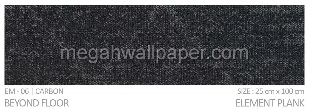Beyond Carpet EM-06 Carbon
