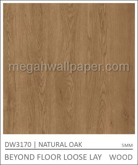 Beyond DW3170