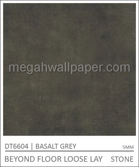 Beyond DW6604